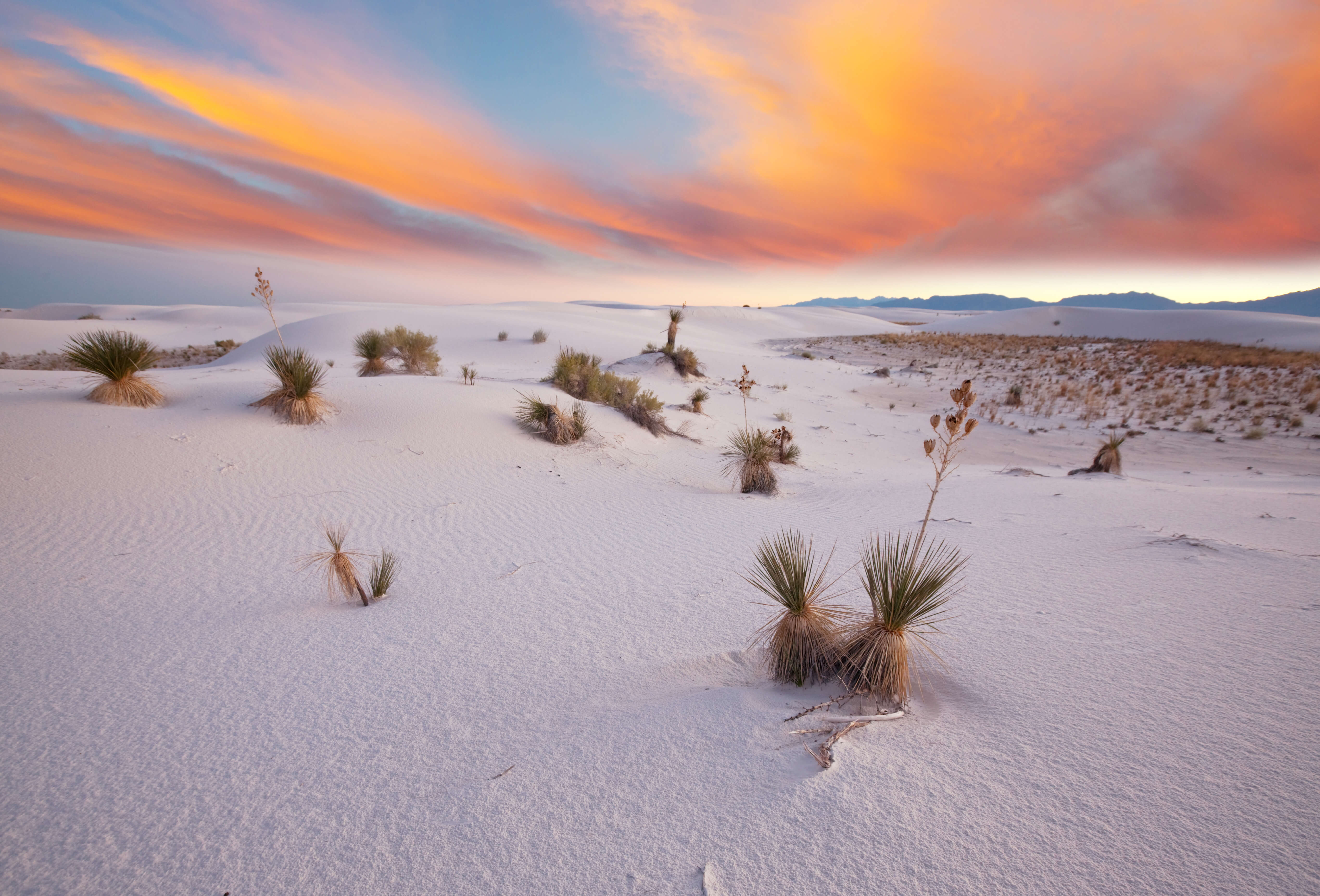 New Mexico White Sands
